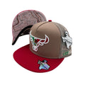 TEXHORN CATTLE MEXICO BROWN CAP