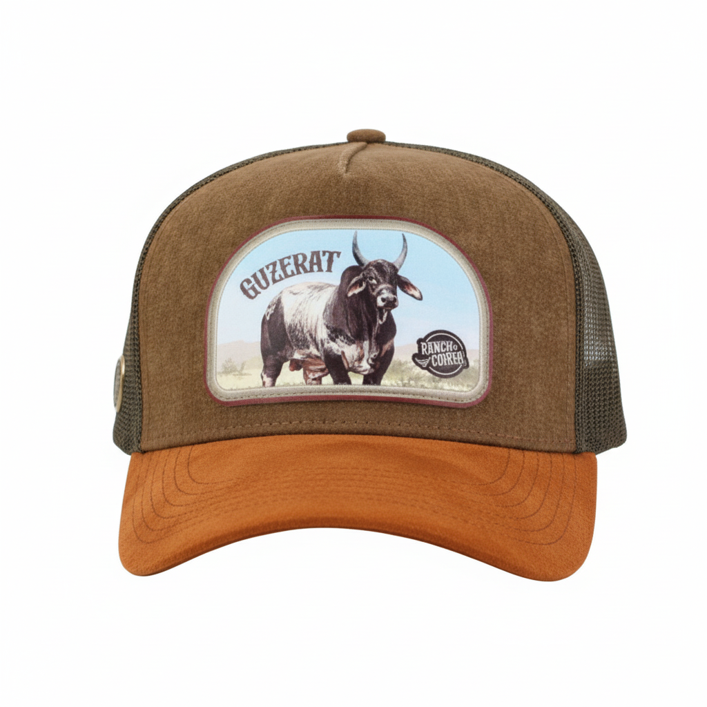 RANCH CORRAL RCG66 GANADERA GUZERAT BROWN CAP